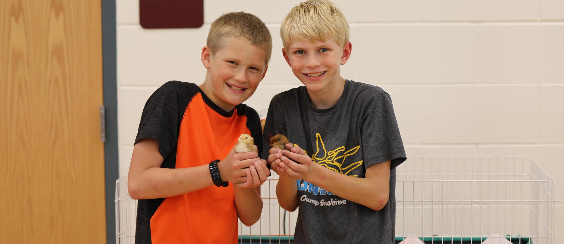 two elementary boys hold onto a yellow chick and a brown chick in a gym