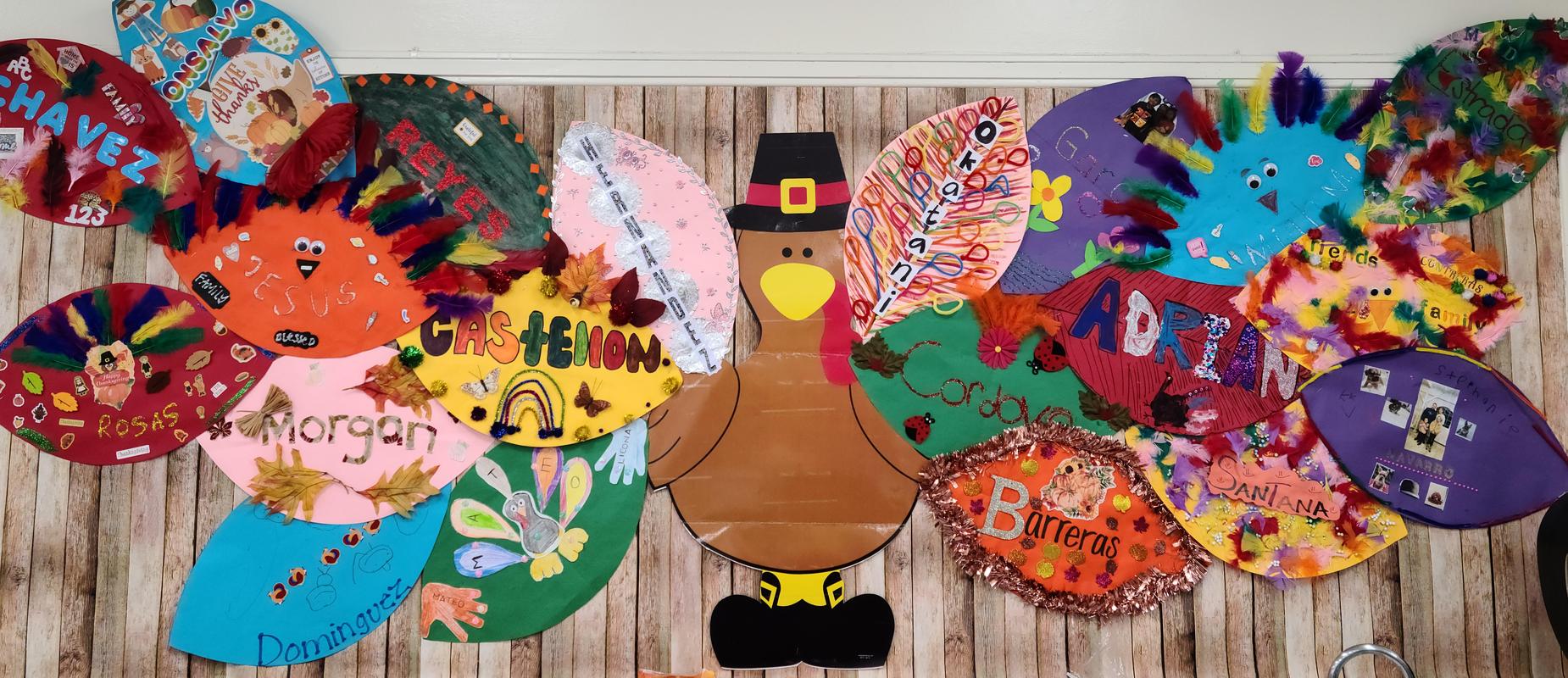 turkey feathers