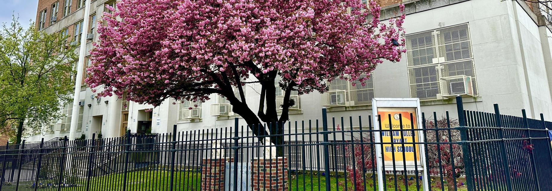 BryantSpring