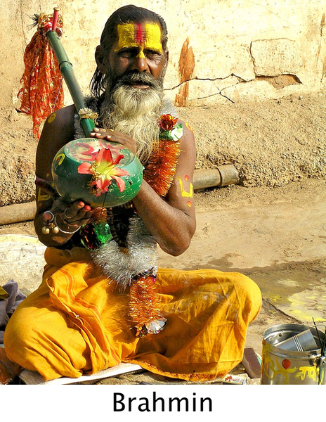 Brahmin.png