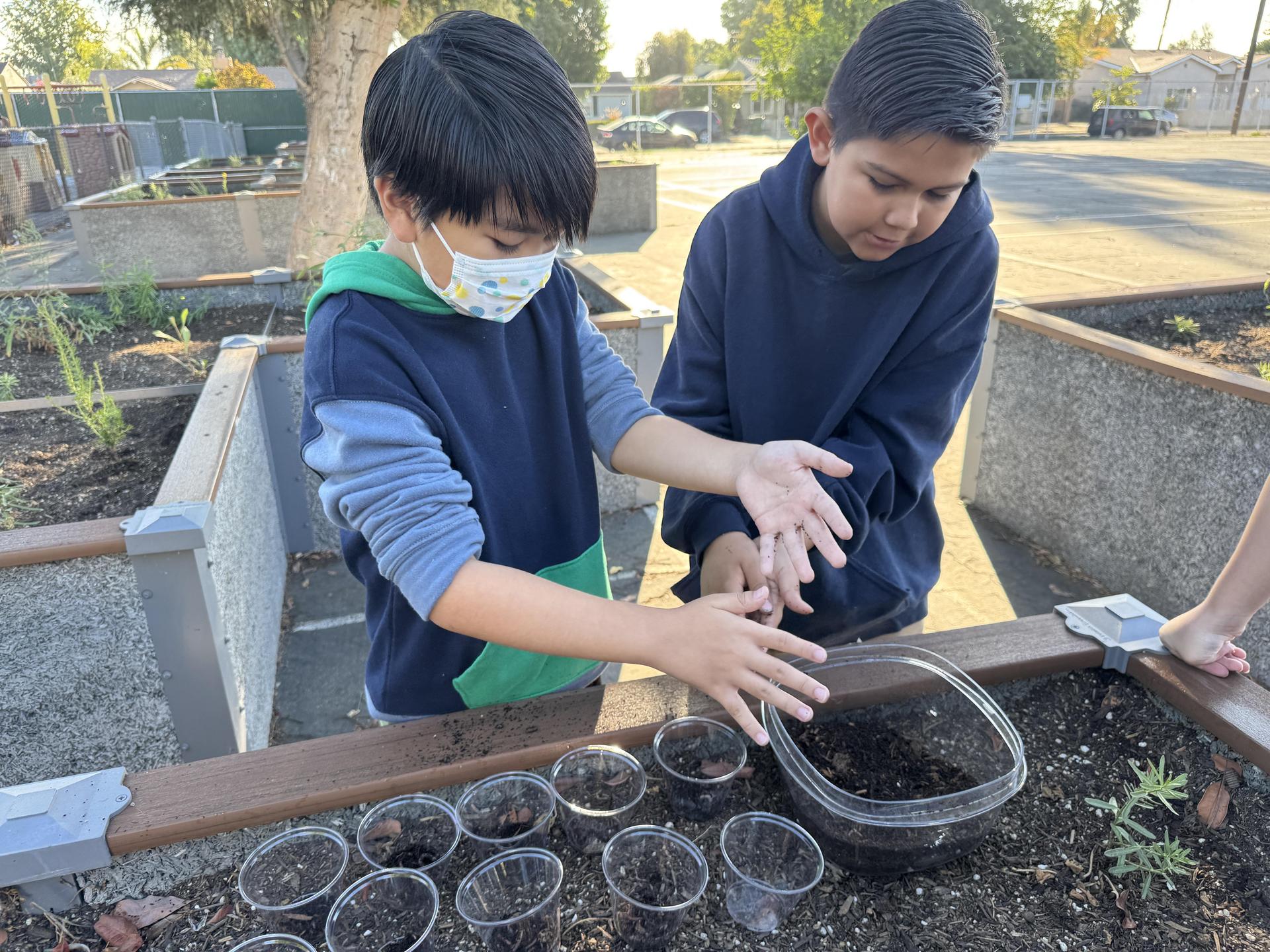 Students working on stewardship project