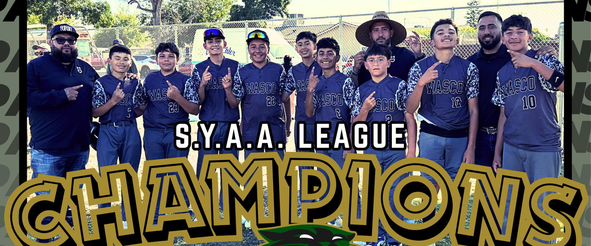 Youth baseball team celebrating their championship victory.