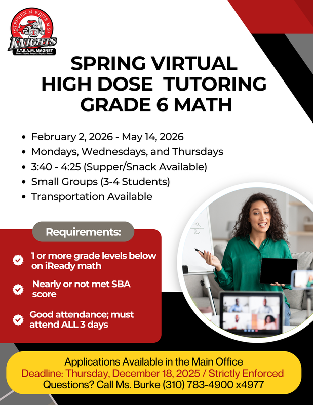 High Dose Tutoring Application