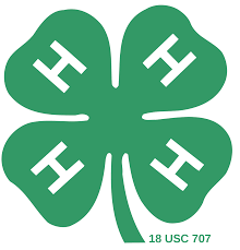 Linden Peters 4-H Club Featured Photo