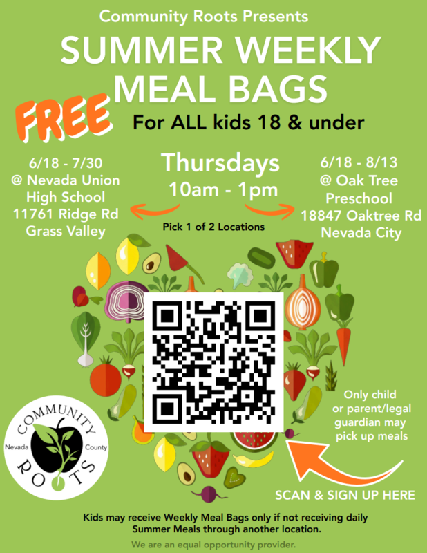 Community Roots Summer Weekly Meal Bags Flyer