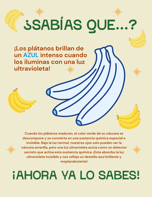 (Spanish) Bananas.png