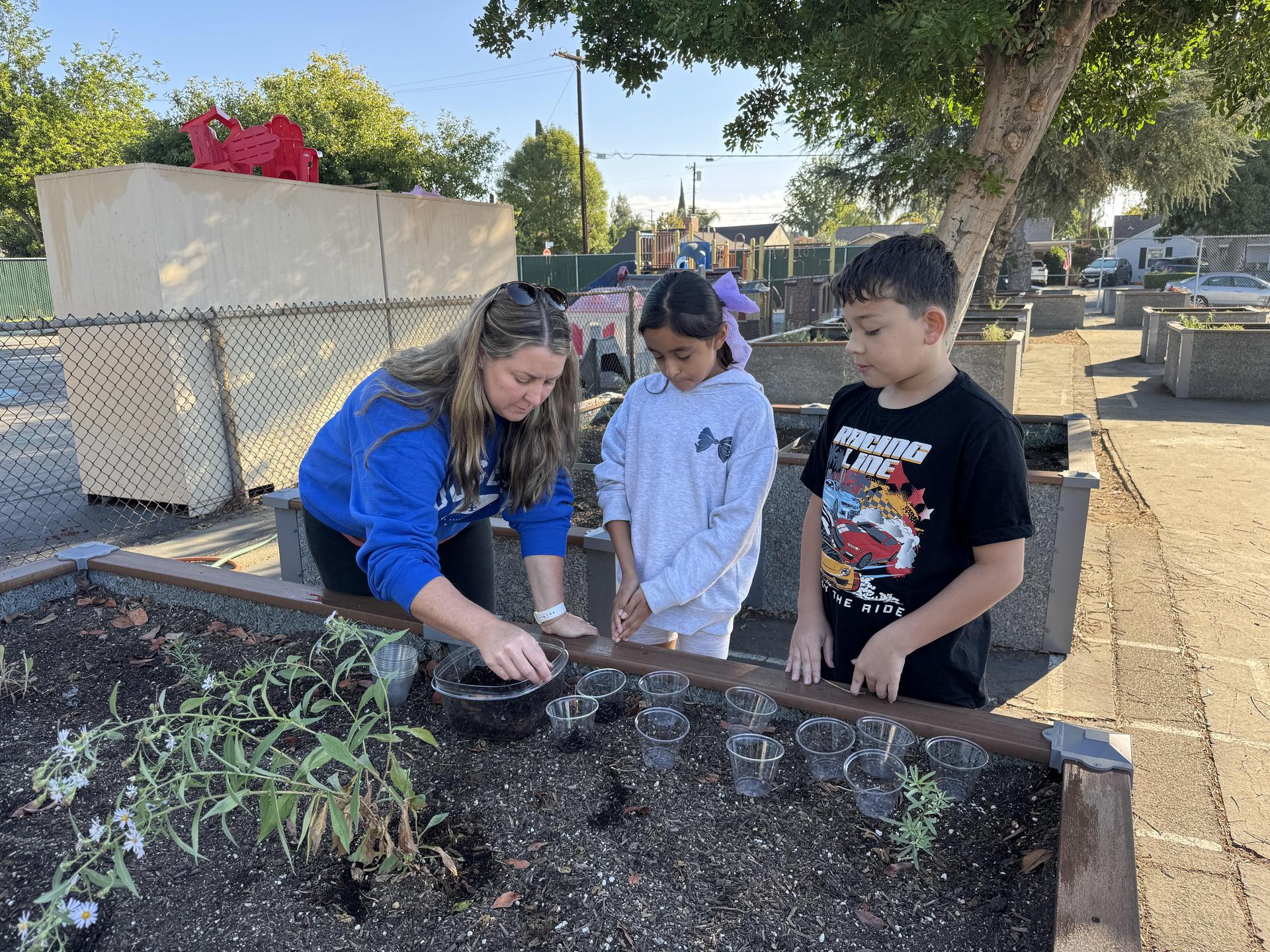 Students working on stewardship project