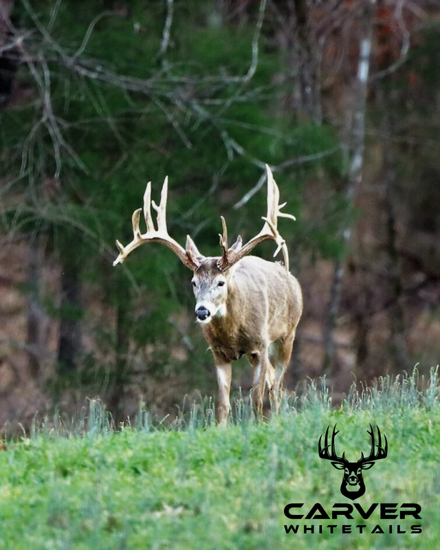 Carver Whitetails guided hunts in Salem, Alabama