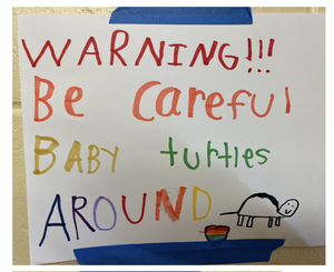 be aware baby turtle crossing sign