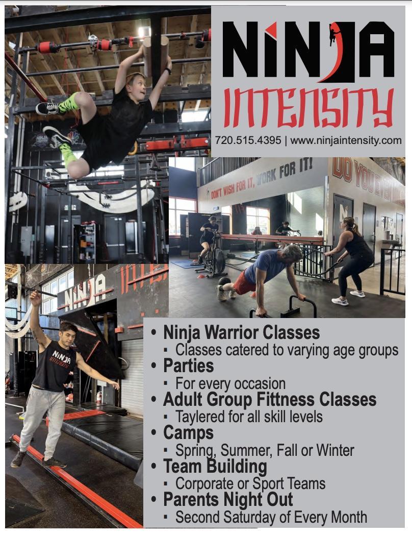Ninja Intensity Flyer