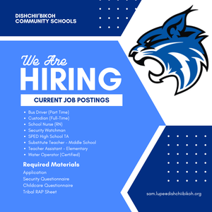 Blue Minimalist We Are Hiring Instagram Post.png