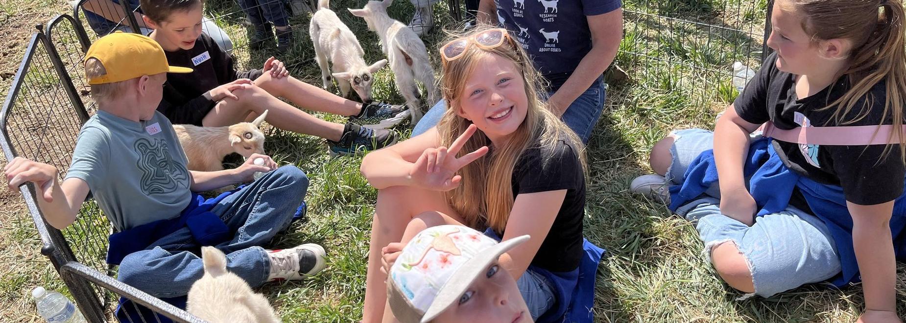 Kids interacting and playing with small goats in a grassy area.
