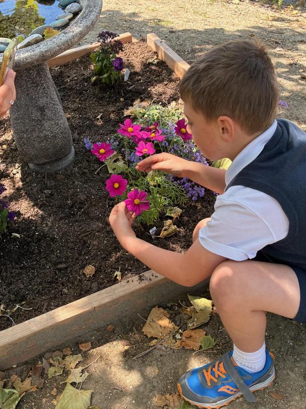 Students Raise and Release Butterflies in Campus Living Lab