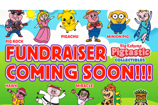 Fundraiser