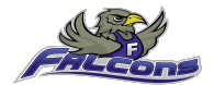 Falcons logo with a stylized falcon in shades of gray and yellow.