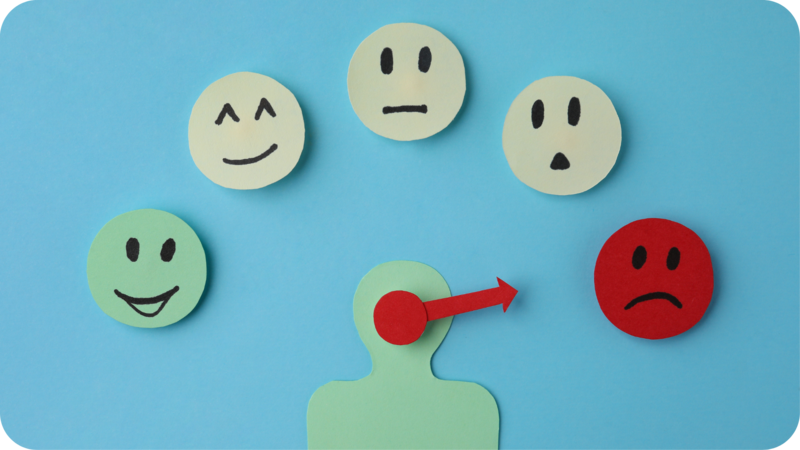 SEL Connection Virtual Zoom: Thursday, January 29 and Friday, January 30