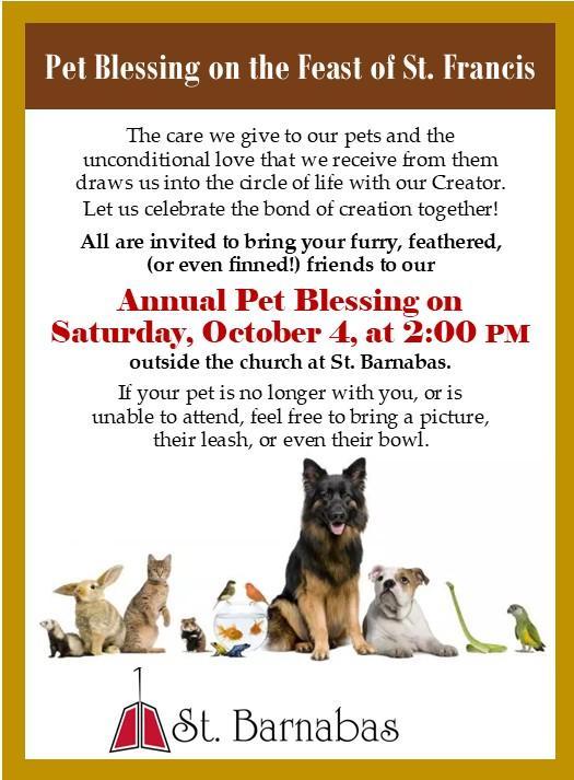Pet Blessing Featured Photo