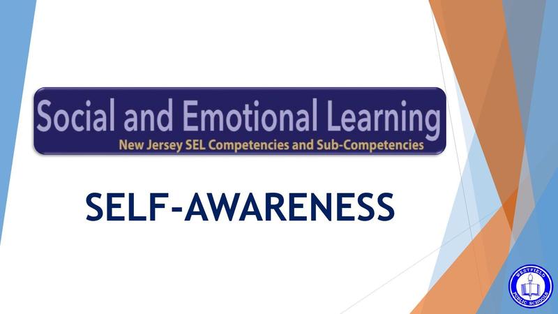 Screenshot of first graphic that reads: Social and Emotional Learning - Self-Awareness.