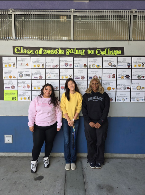 Senior sweater college declaration promotion.