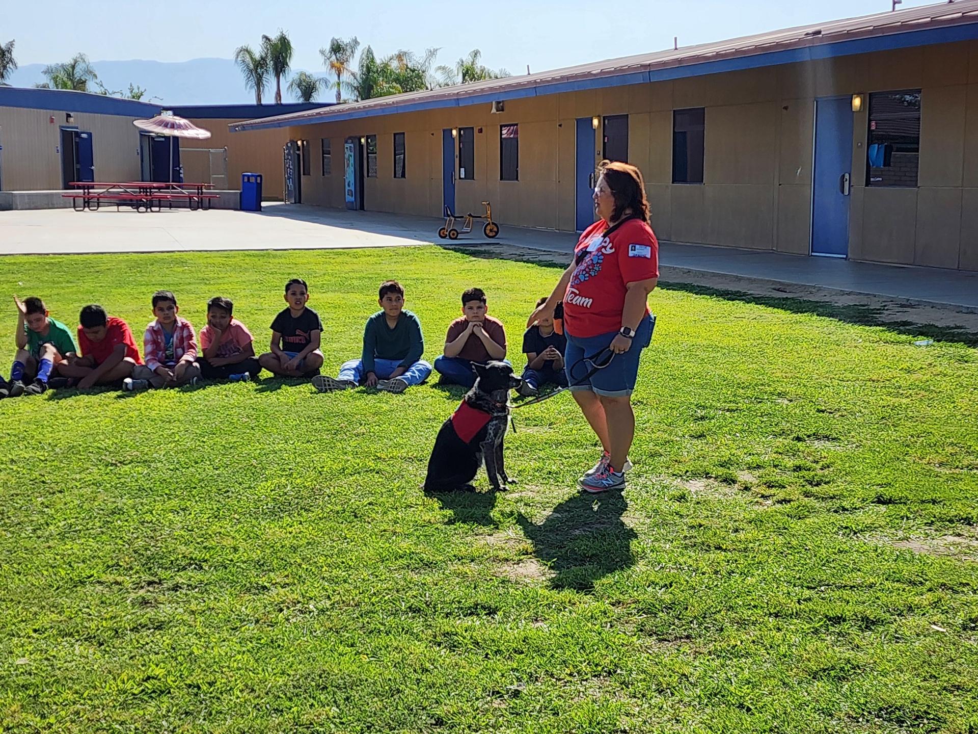 Dog Trainer