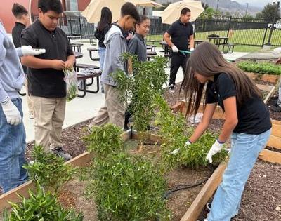Life Skills Garden Journey, September 26, 2025