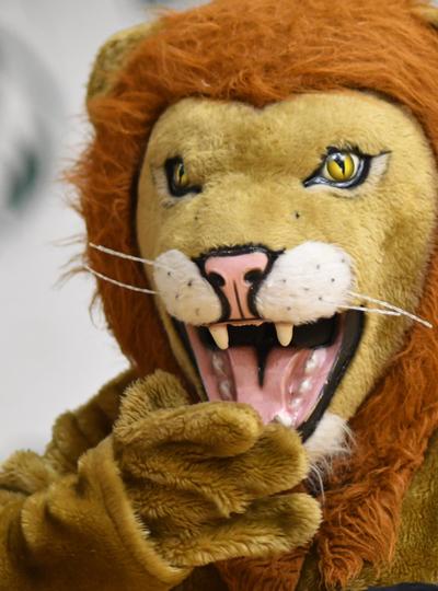 Lion Mascot