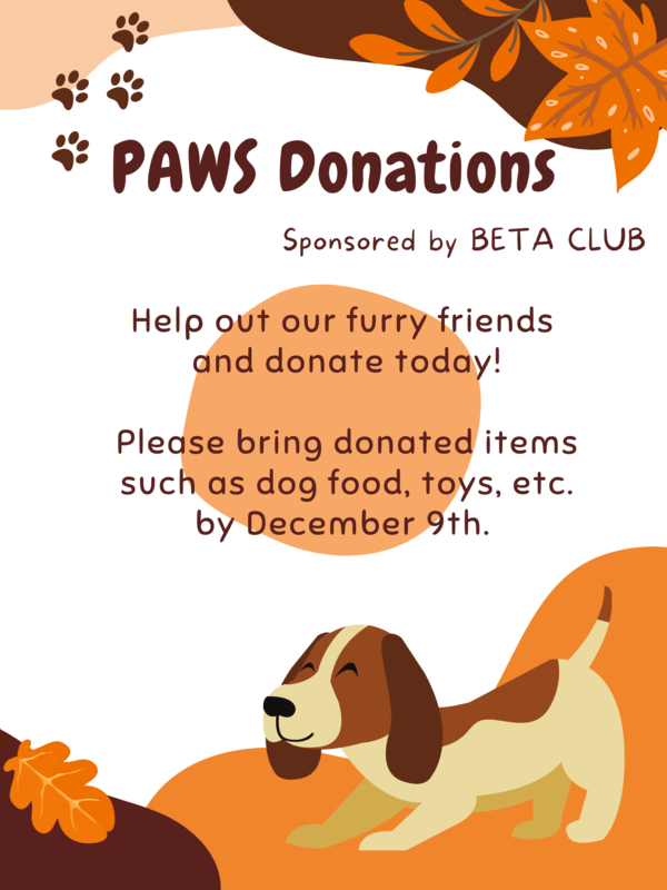 PAWS Donations Featured Photo