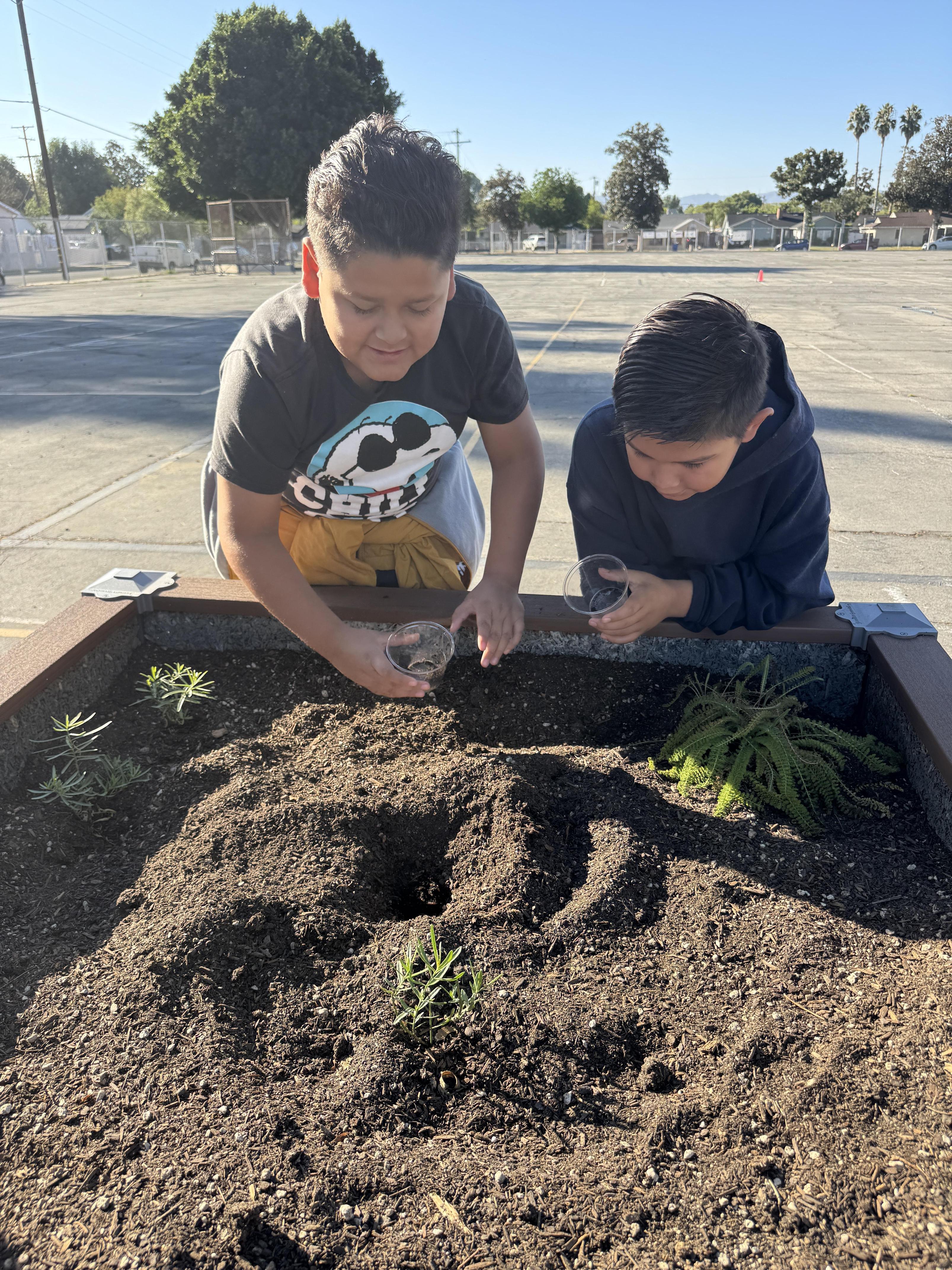 Students working on stewardship project