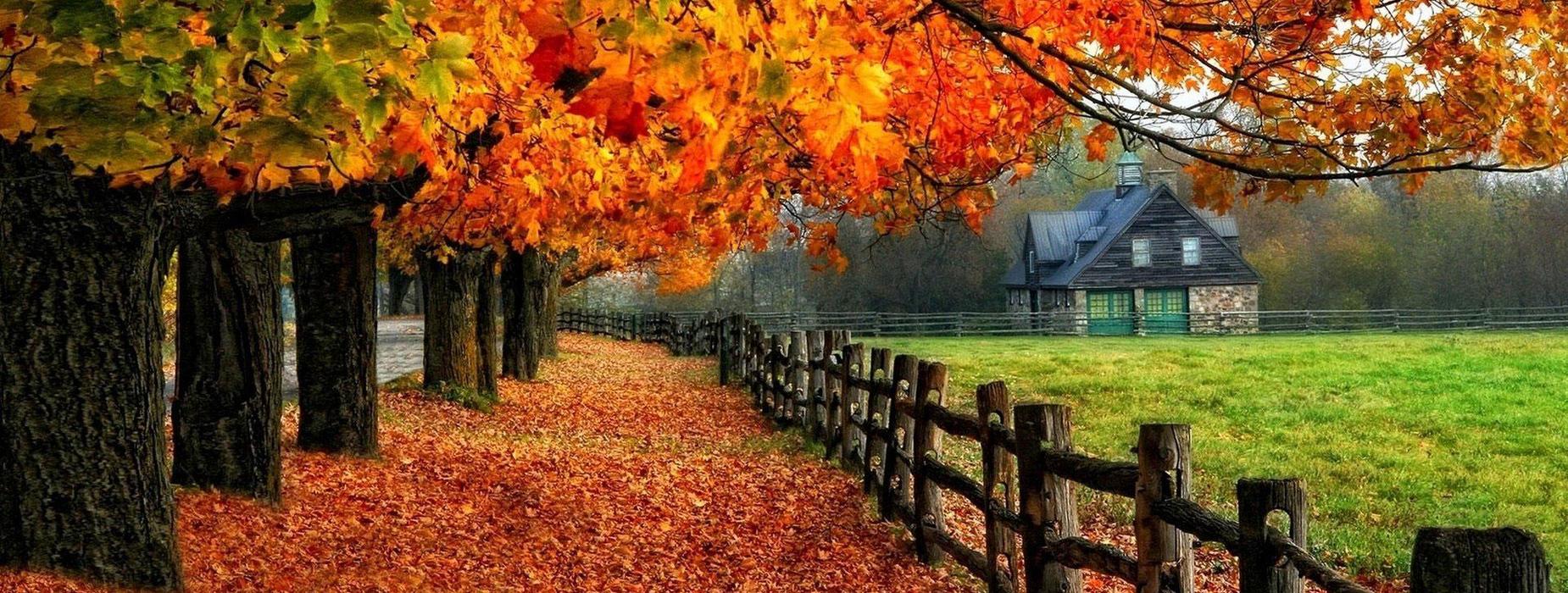 fall