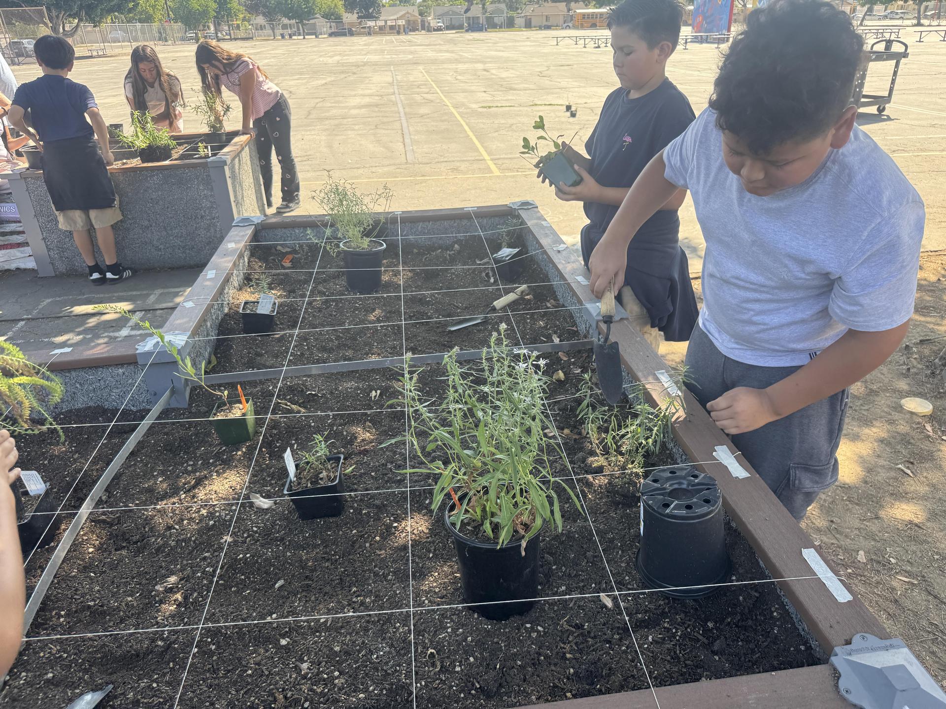 Lorne's Monarch Butterfly Sanctuary Garden