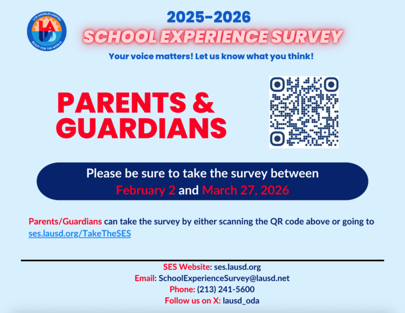 School experience survey