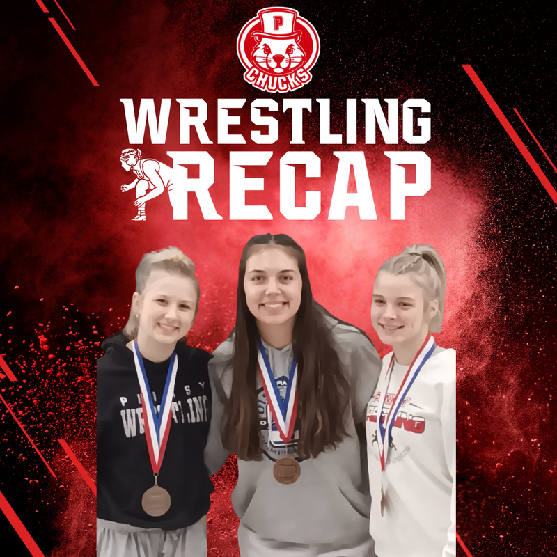 Photo of Lady Chucks Wrestlers with their medals from District Tournament