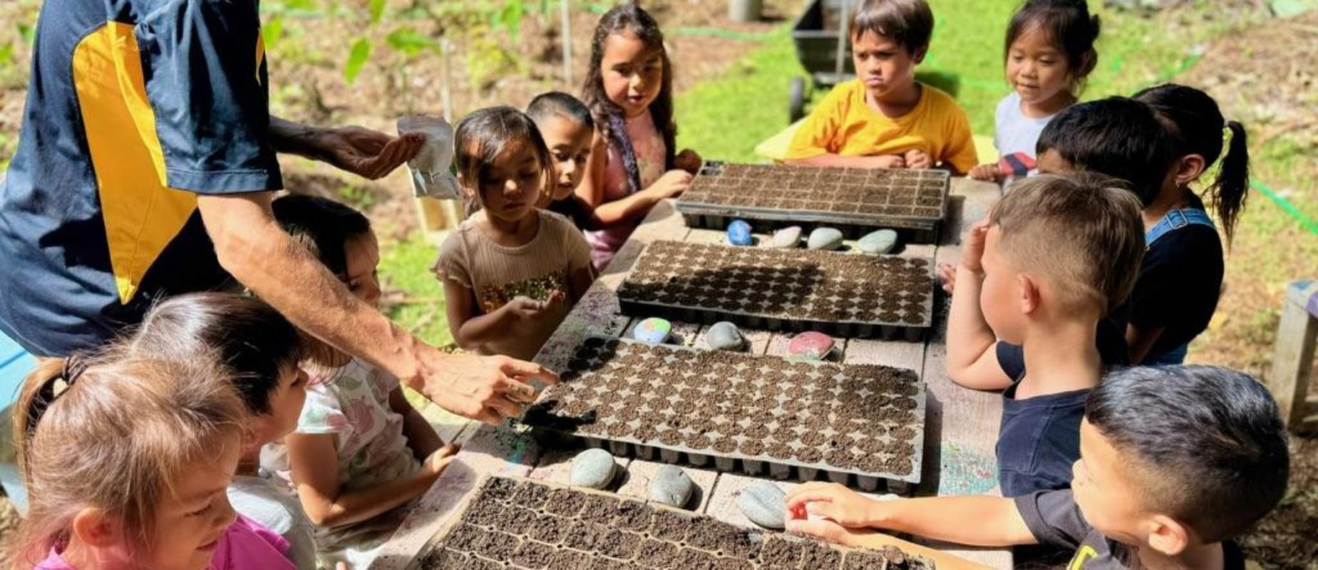 Planting in the garden