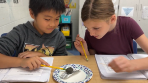 Two students working at a table looking at an owl pellet