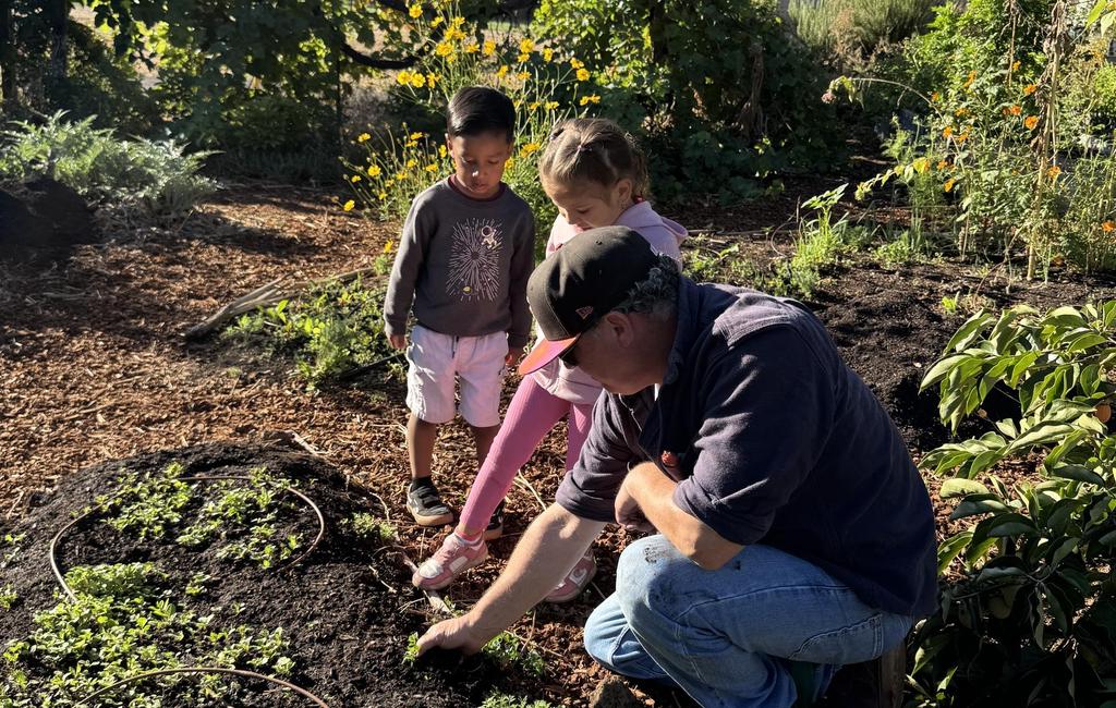 Teacher showing the students the plants