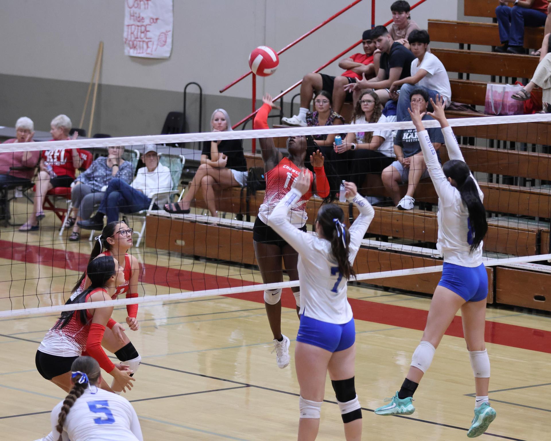 Varsity girls Volleyball playing vs. Madera 17