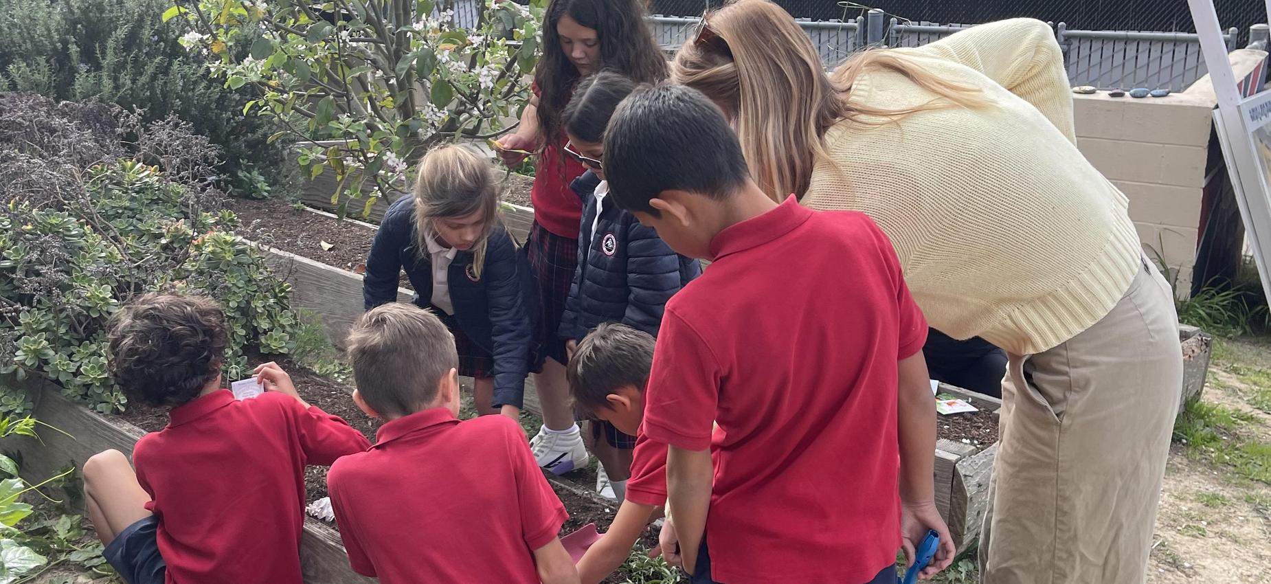 3rd-grade scientists nurture our school garden.