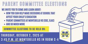 Voting image with election info in English