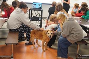 Students pet a dog brought in by veterinarians from South Kent Vet.