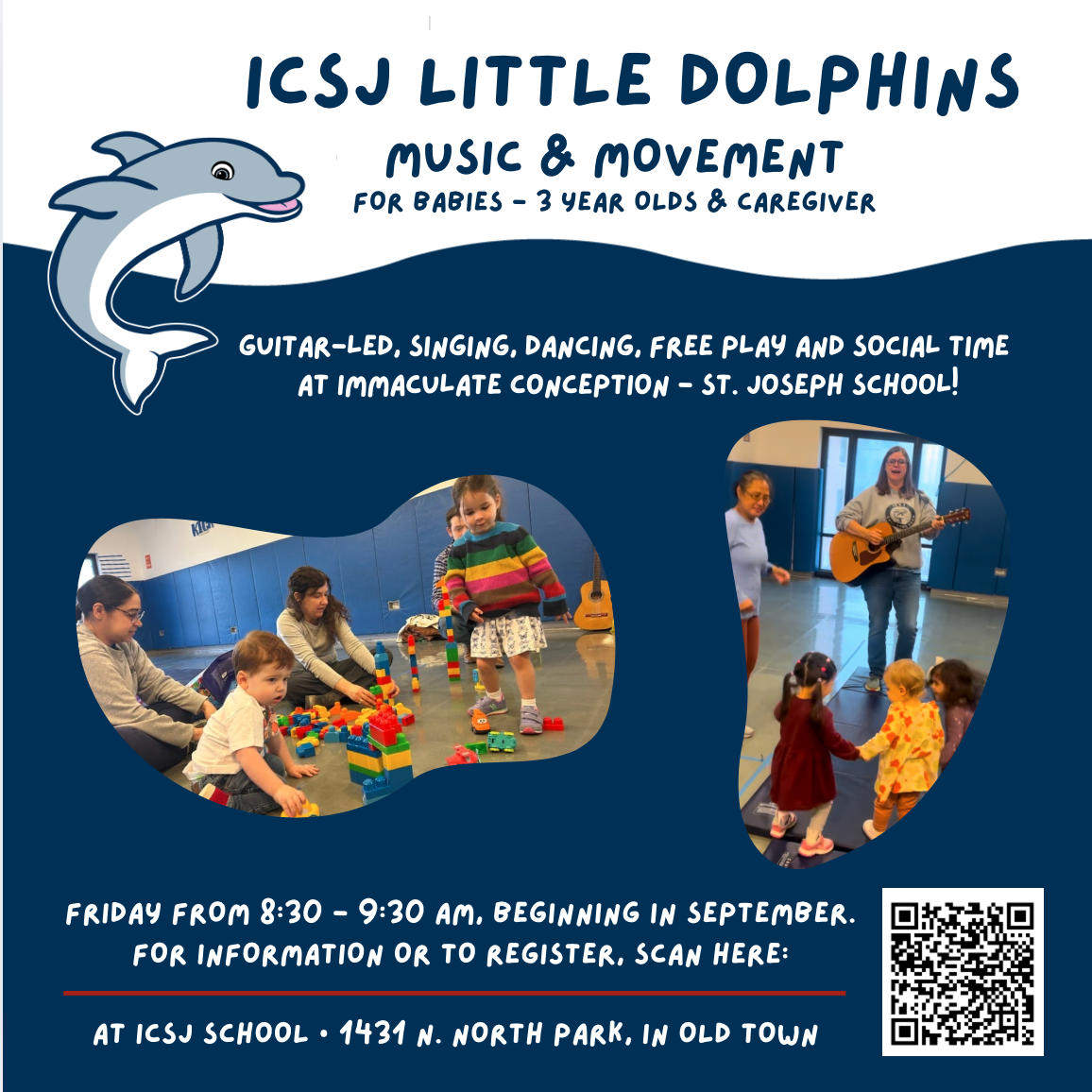 Little Dolphins Banner