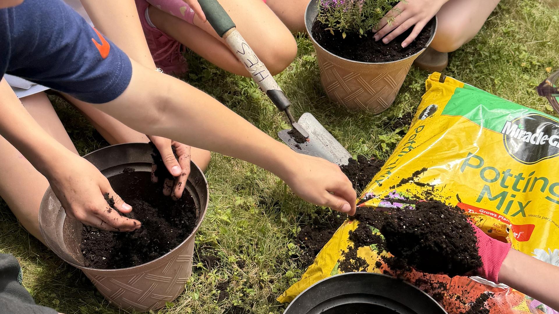 planting
