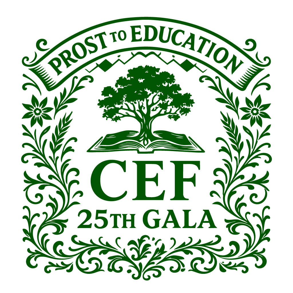 25th anniversary spring fling logo