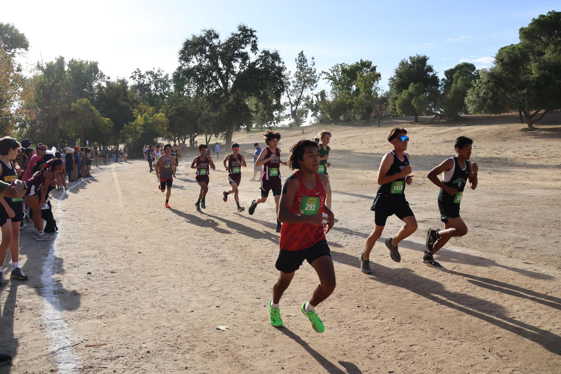 cross country runners in action
