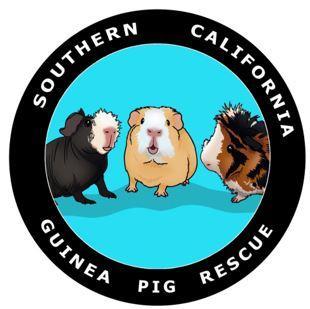 SCGPR