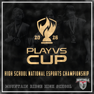 MRHS Smash Brothers Team competes in national quarterfinals