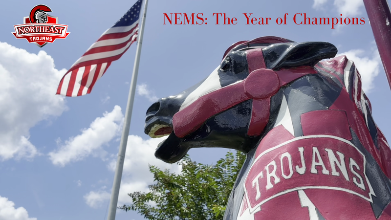 Northeast Middle School Carousel Horse and American Flag