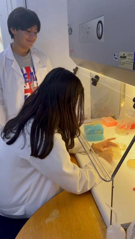 WhatsApp Image 2025-12-11 at 8.41.25 AM (2).jpeg