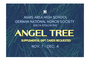 A close up picture of a pine tree with long needles