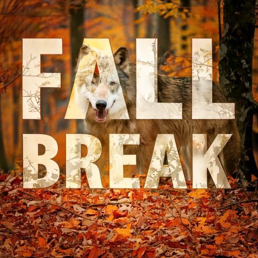 Fall Break!