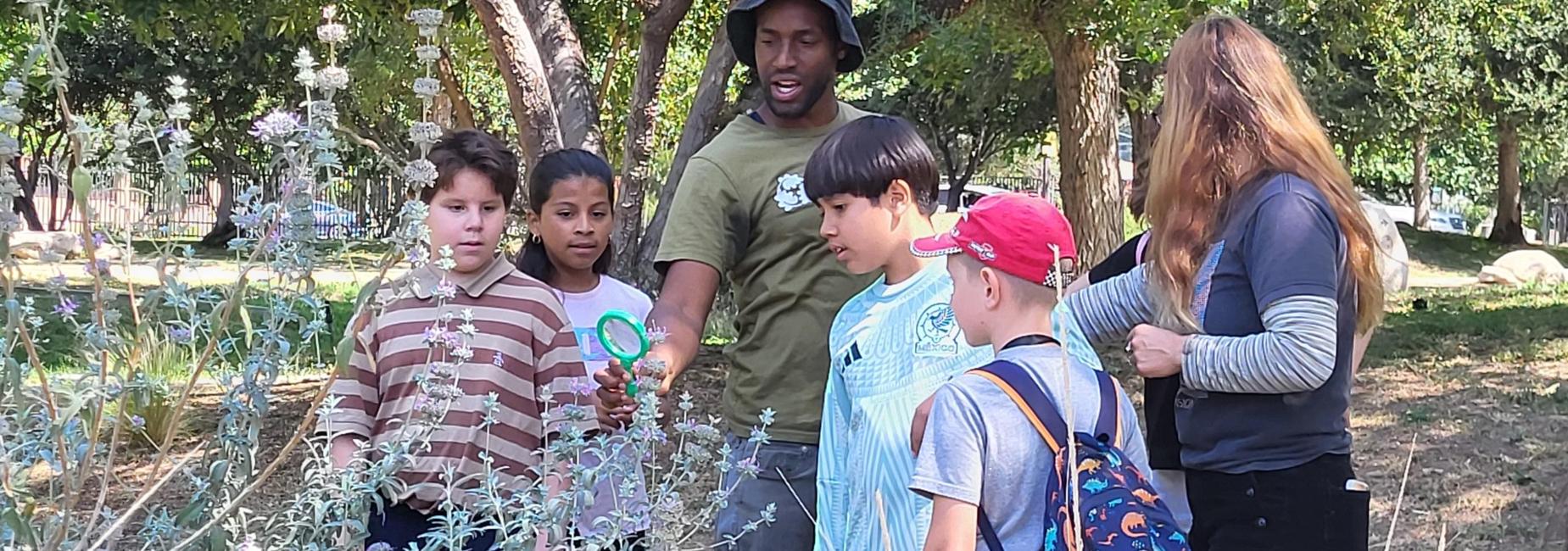 Students in natural setting examining a plant